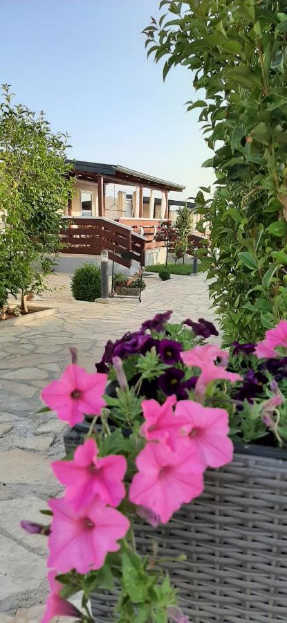 Mobile Homes Kamp Maslina, Biograd Na Moru Ngoại thất bức ảnh