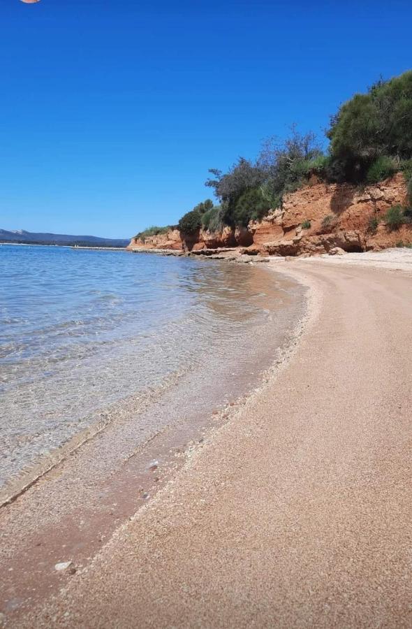 Mobile Homes Kamp Maslina, Biograd Na Moru Ngoại thất bức ảnh