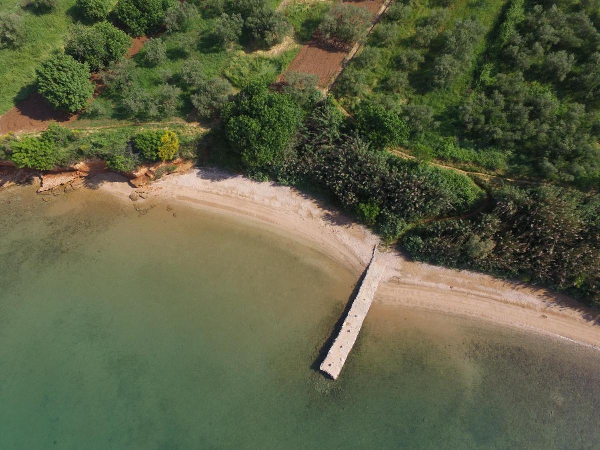 Mobile Homes Kamp Maslina, Biograd Na Moru Ngoại thất bức ảnh